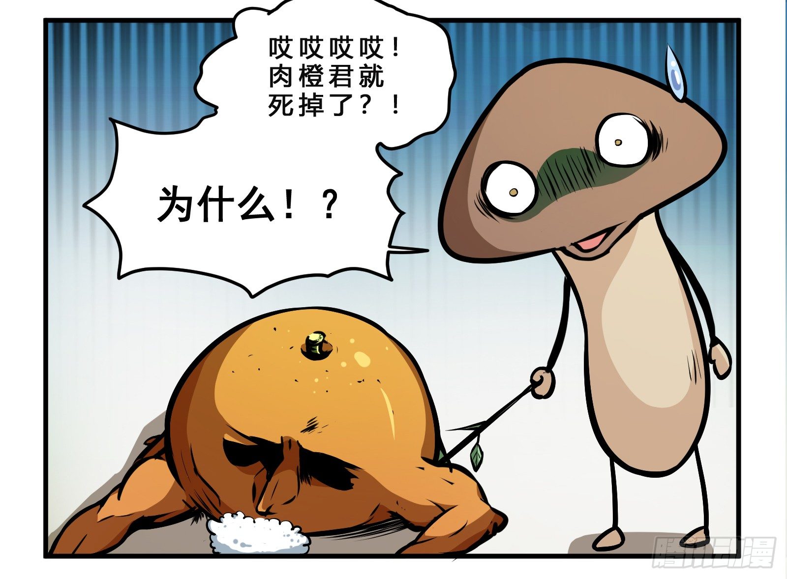 5.jpg