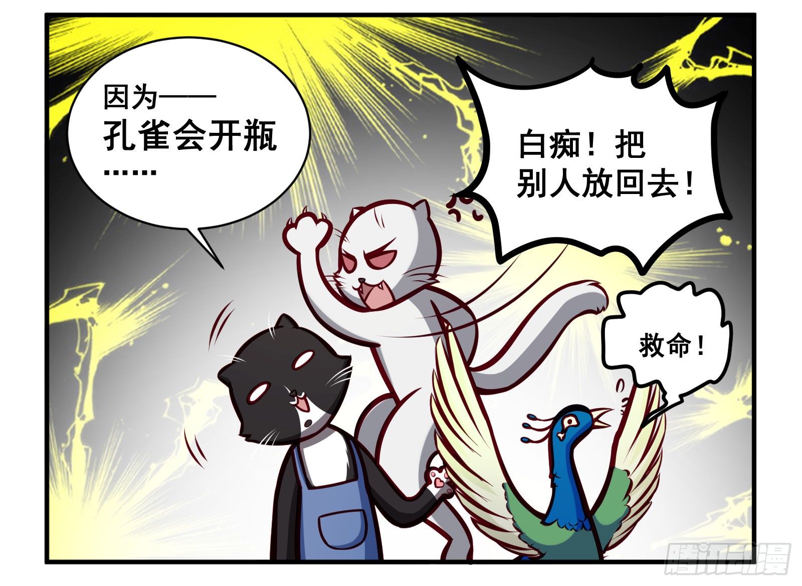 5.jpg