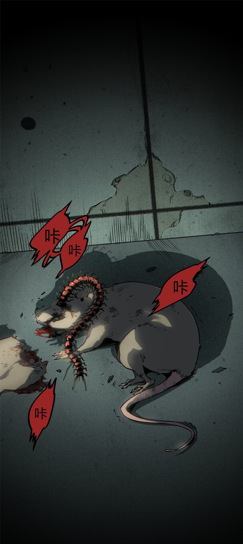 12.jpg