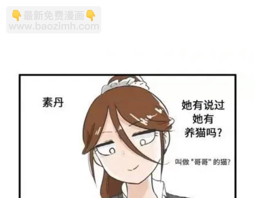 25.jpg