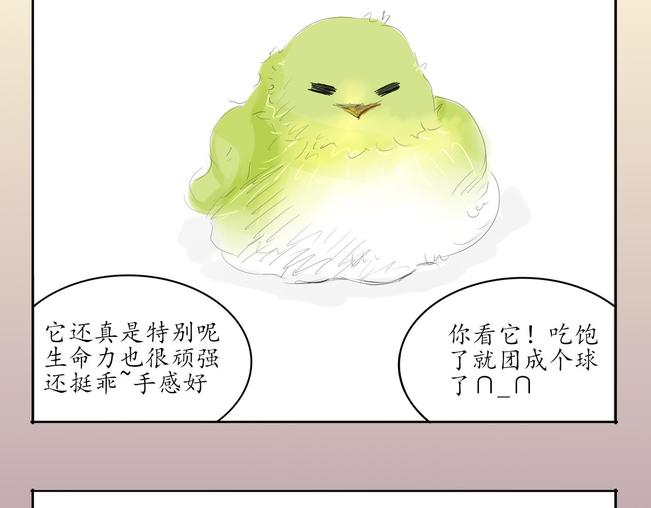 20.jpg