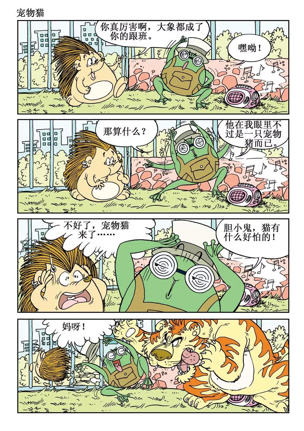 11.jpg