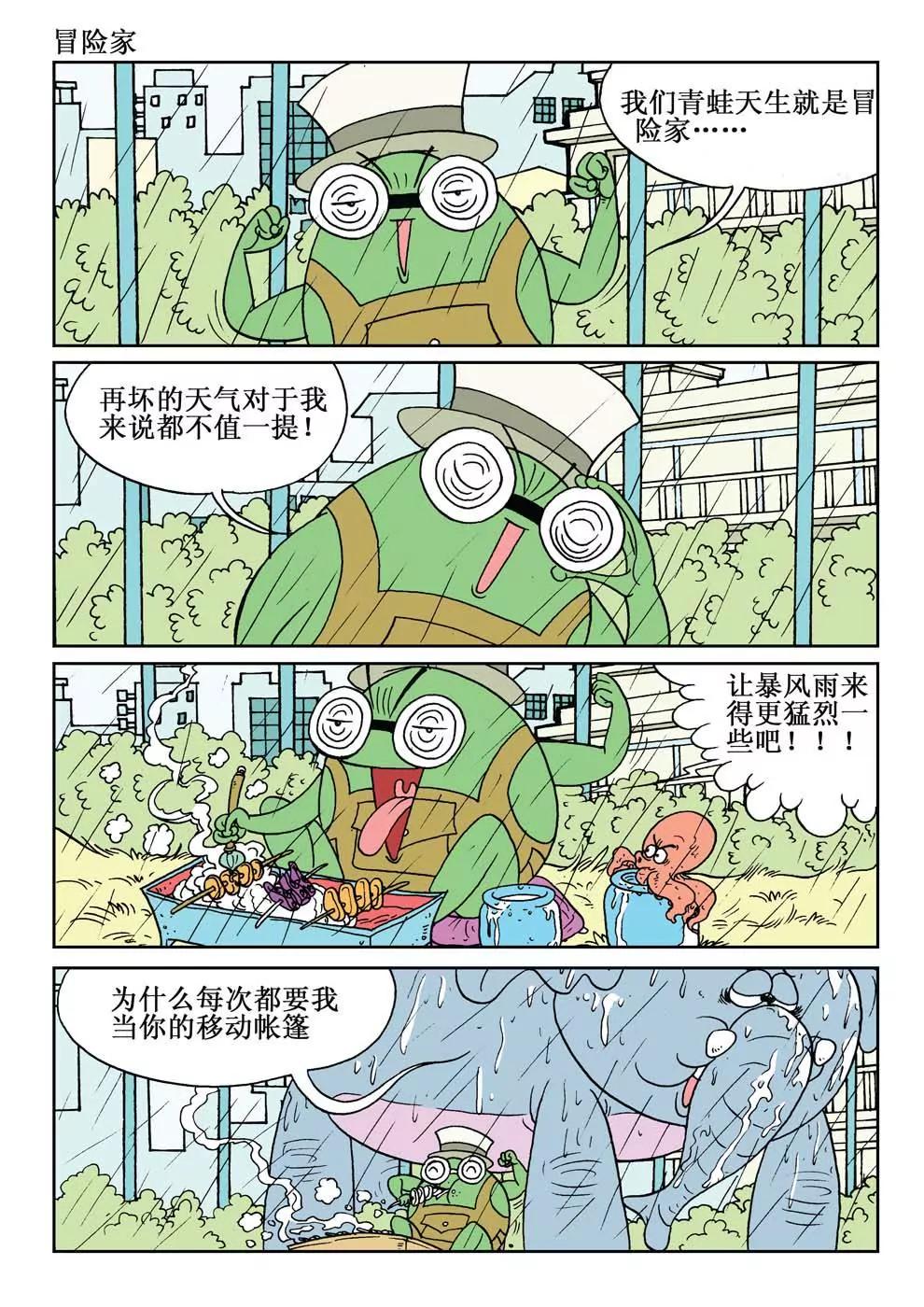 15.jpg