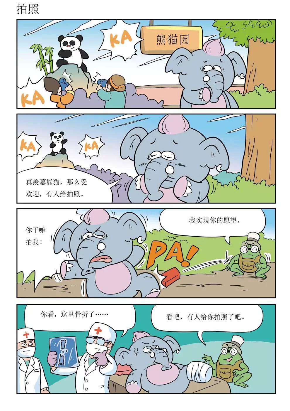 19.jpg