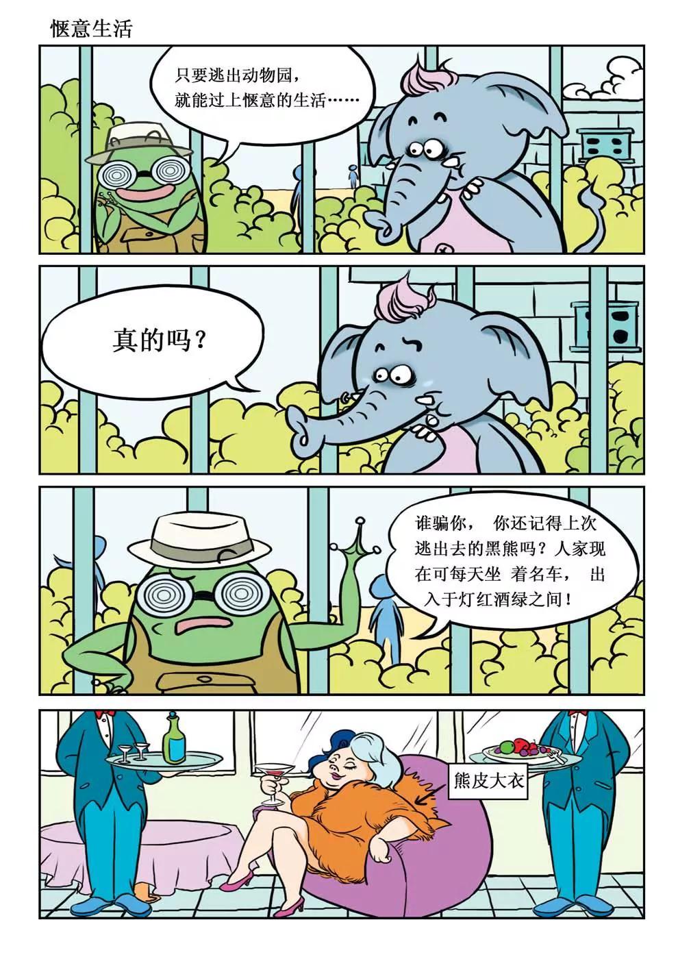 5.jpg