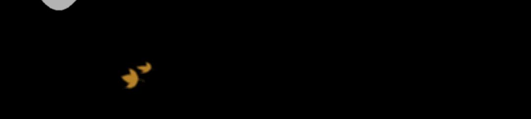 48.jpg