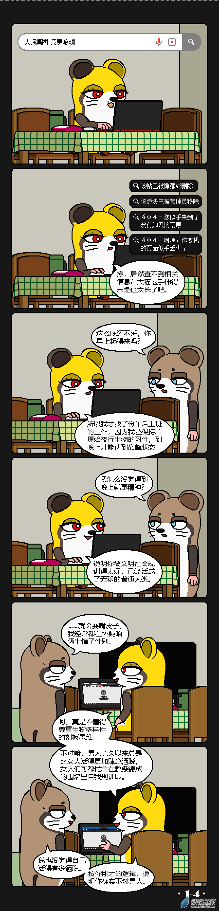 5.jpg