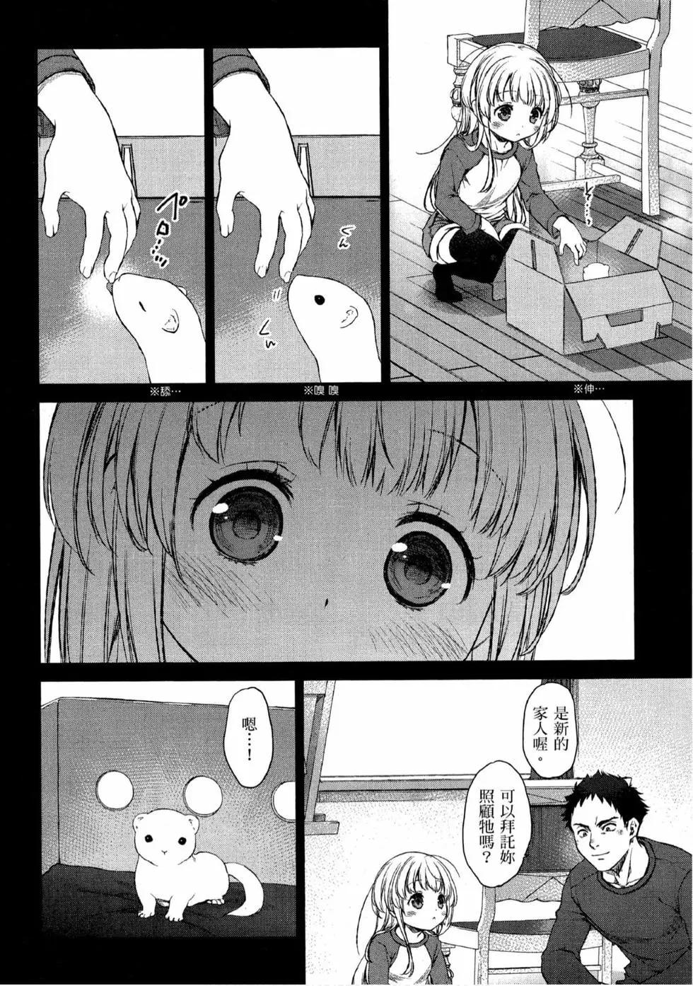17.jpg
