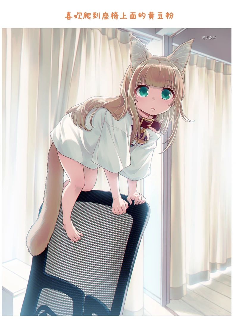 13.jpg