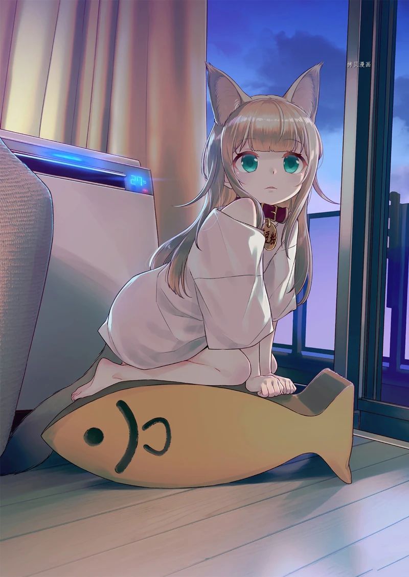 18.jpg