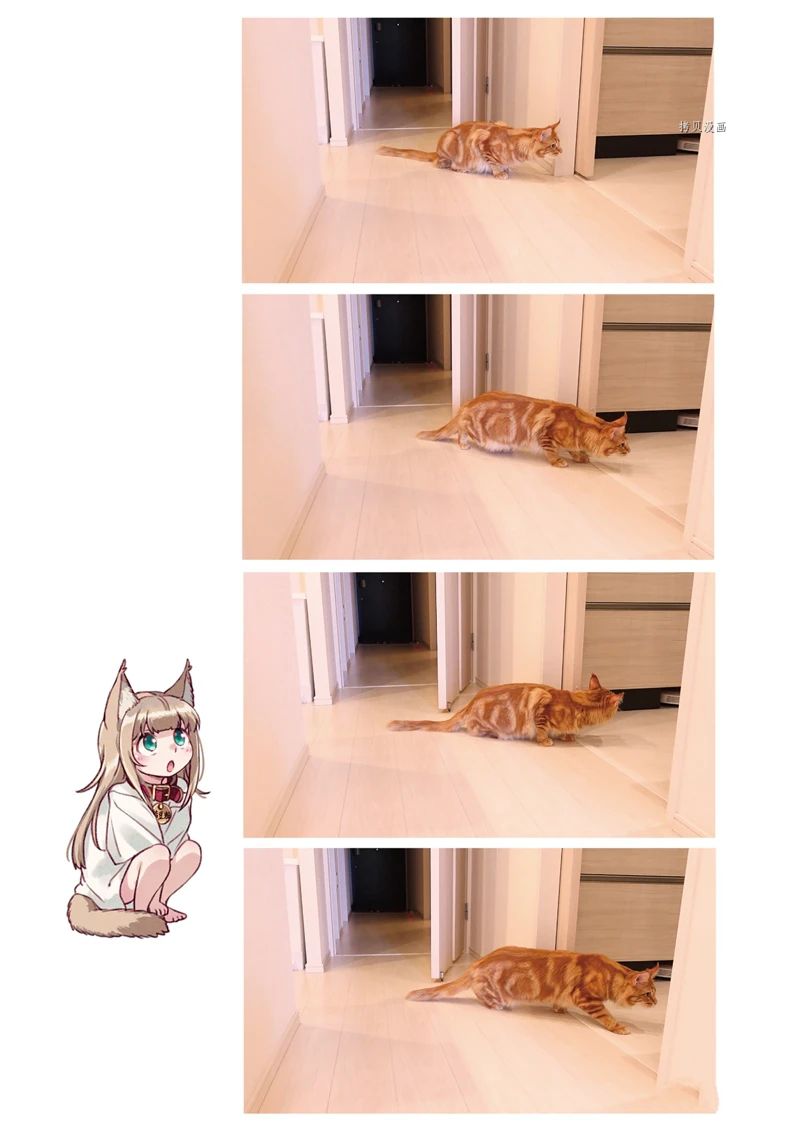 27.jpg