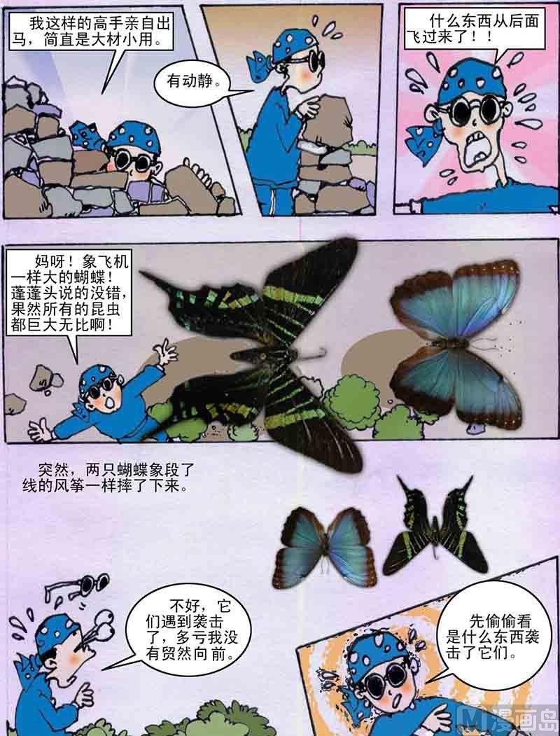 2.jpg