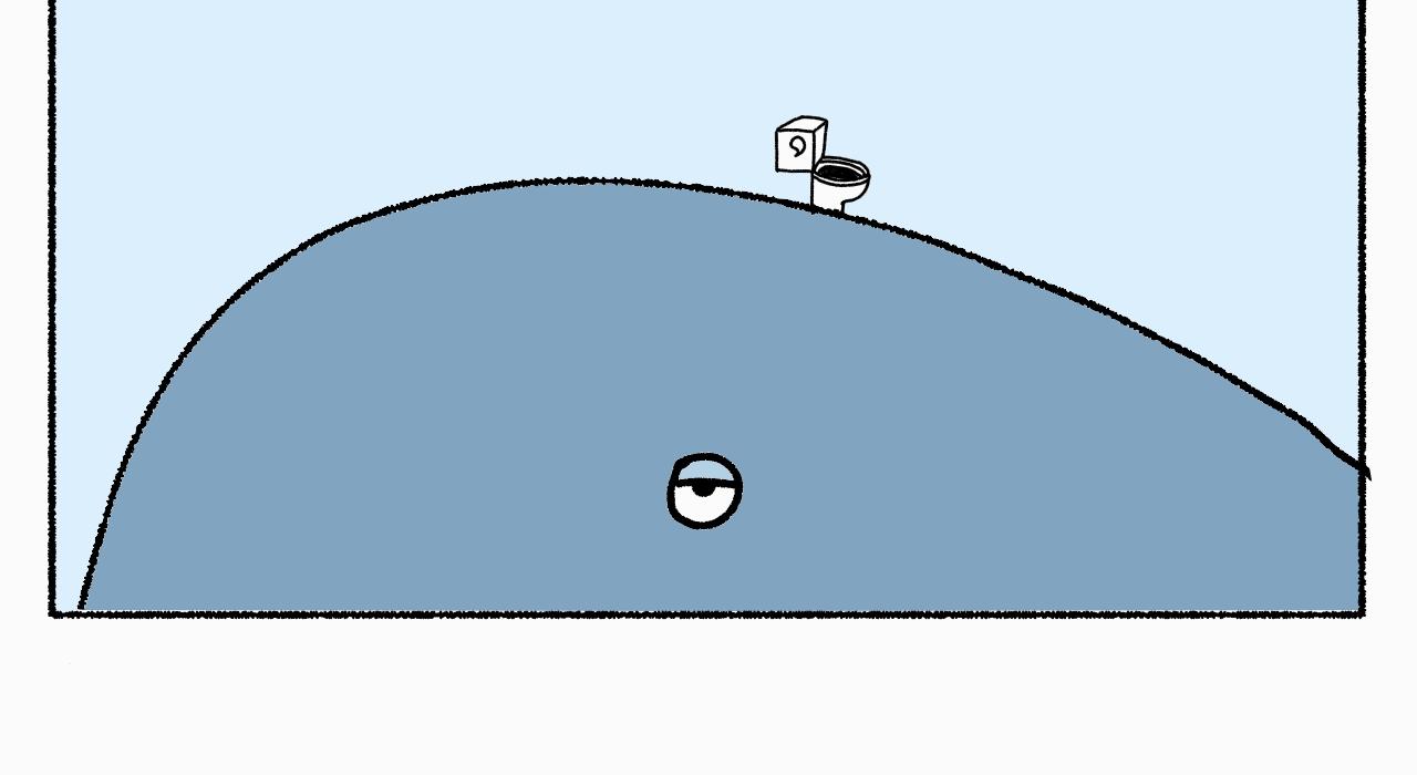 28.jpg