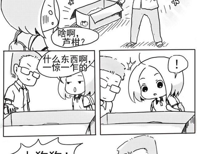 3.jpg
