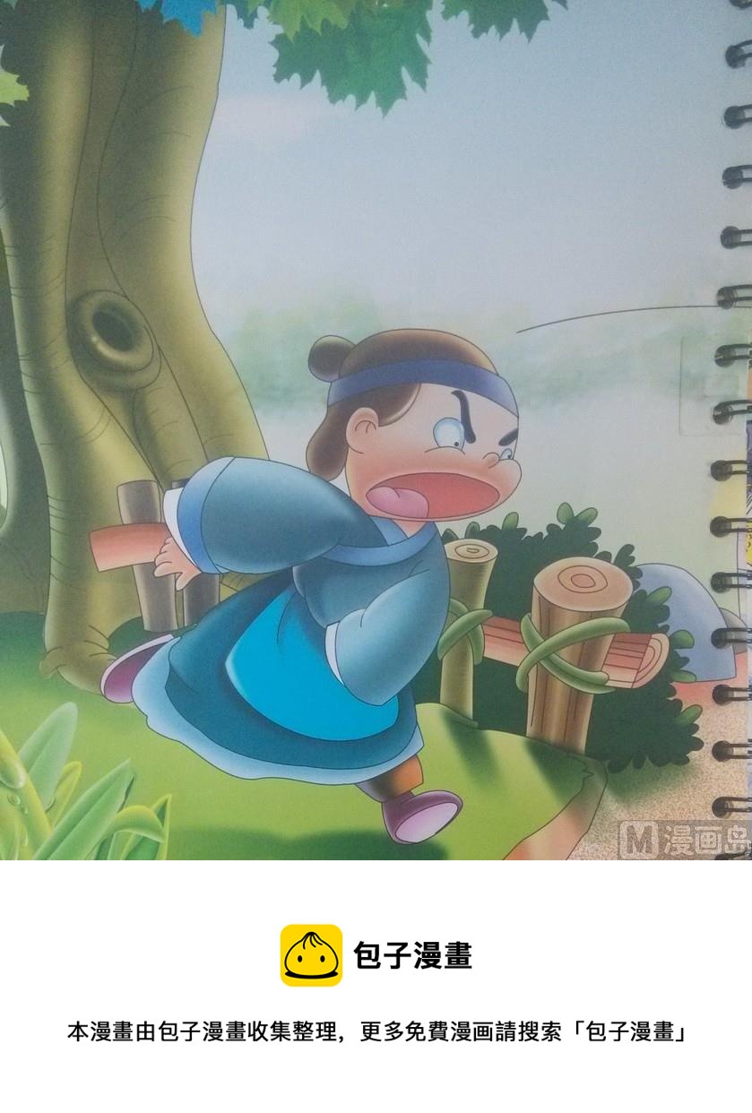 5.jpg