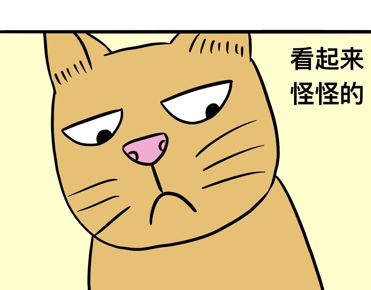 29.jpg