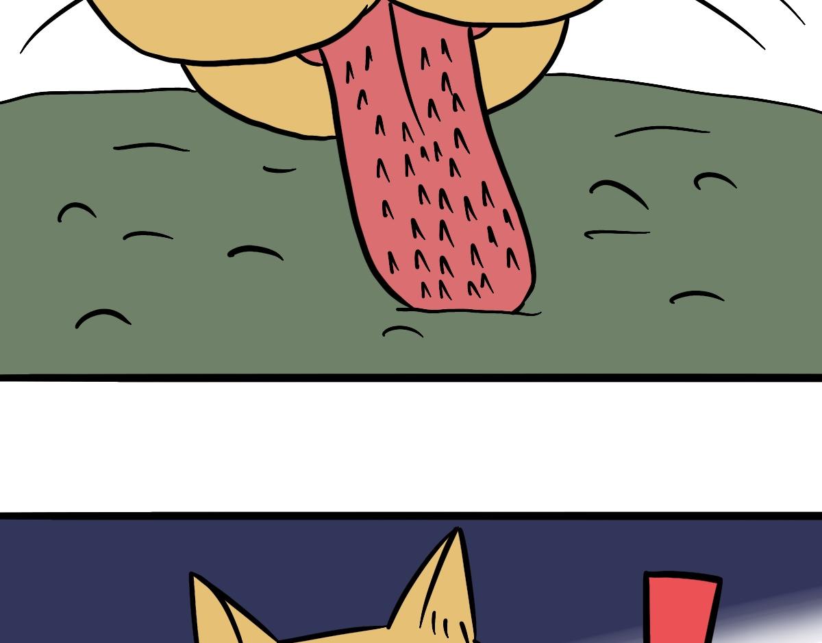 35.jpg