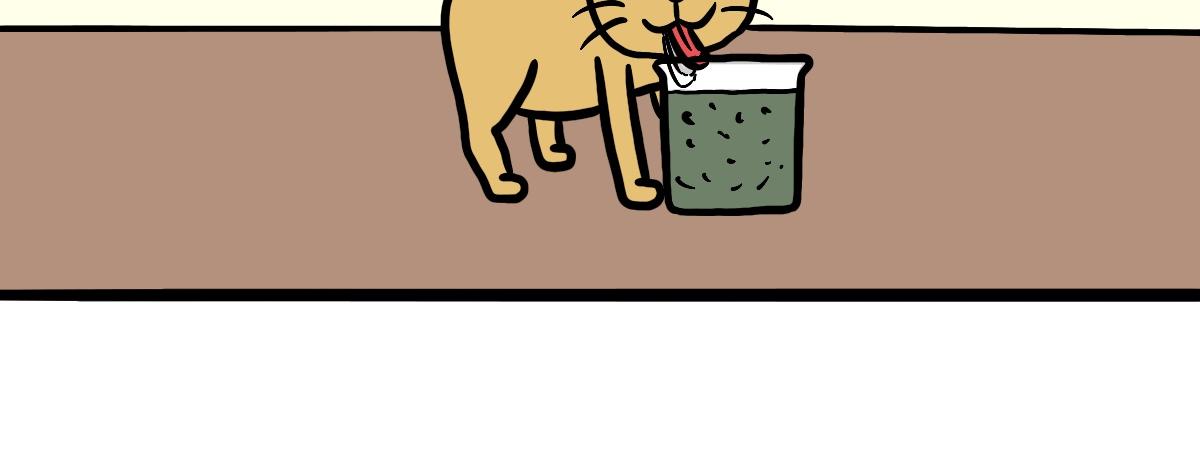 37.jpg