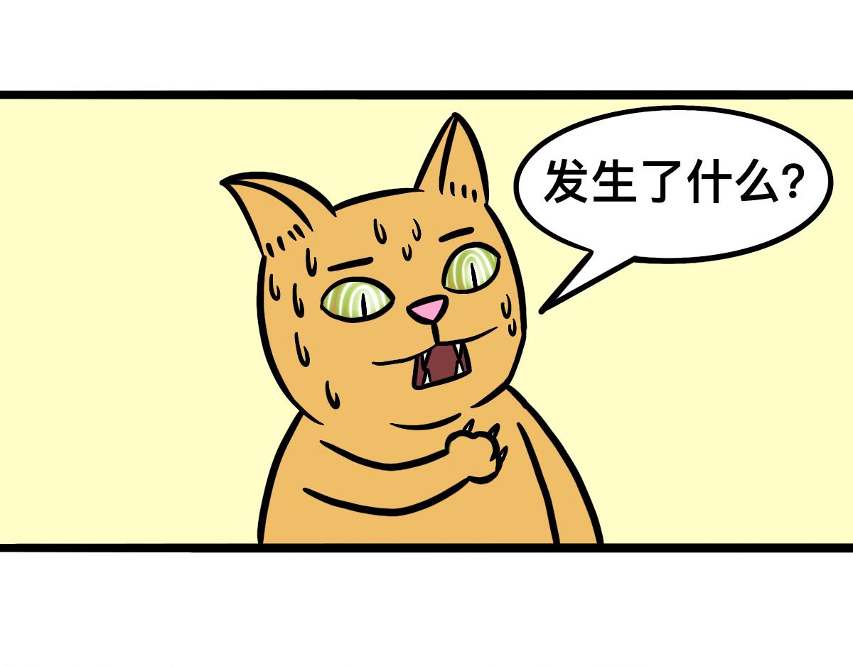 48.jpg