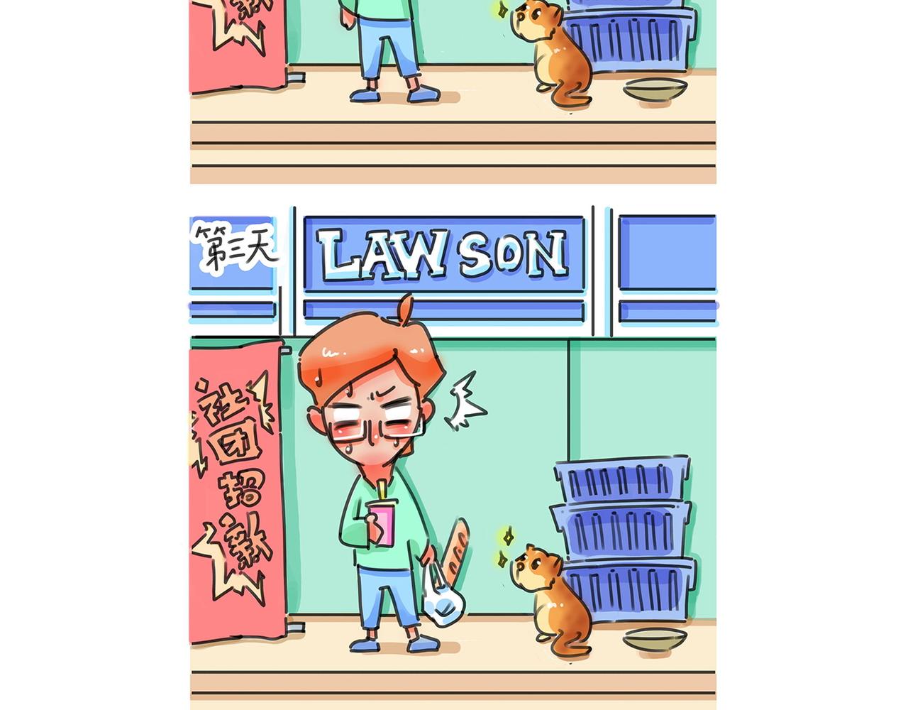 15.jpg