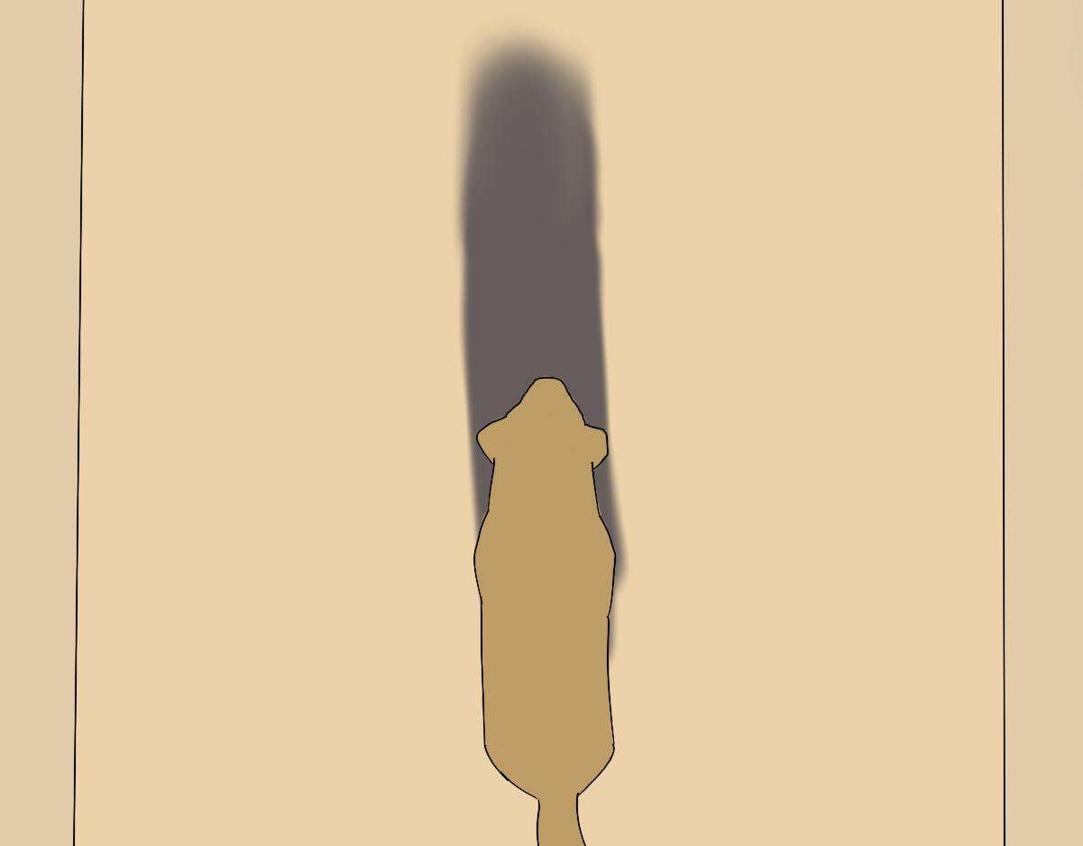 32.jpg