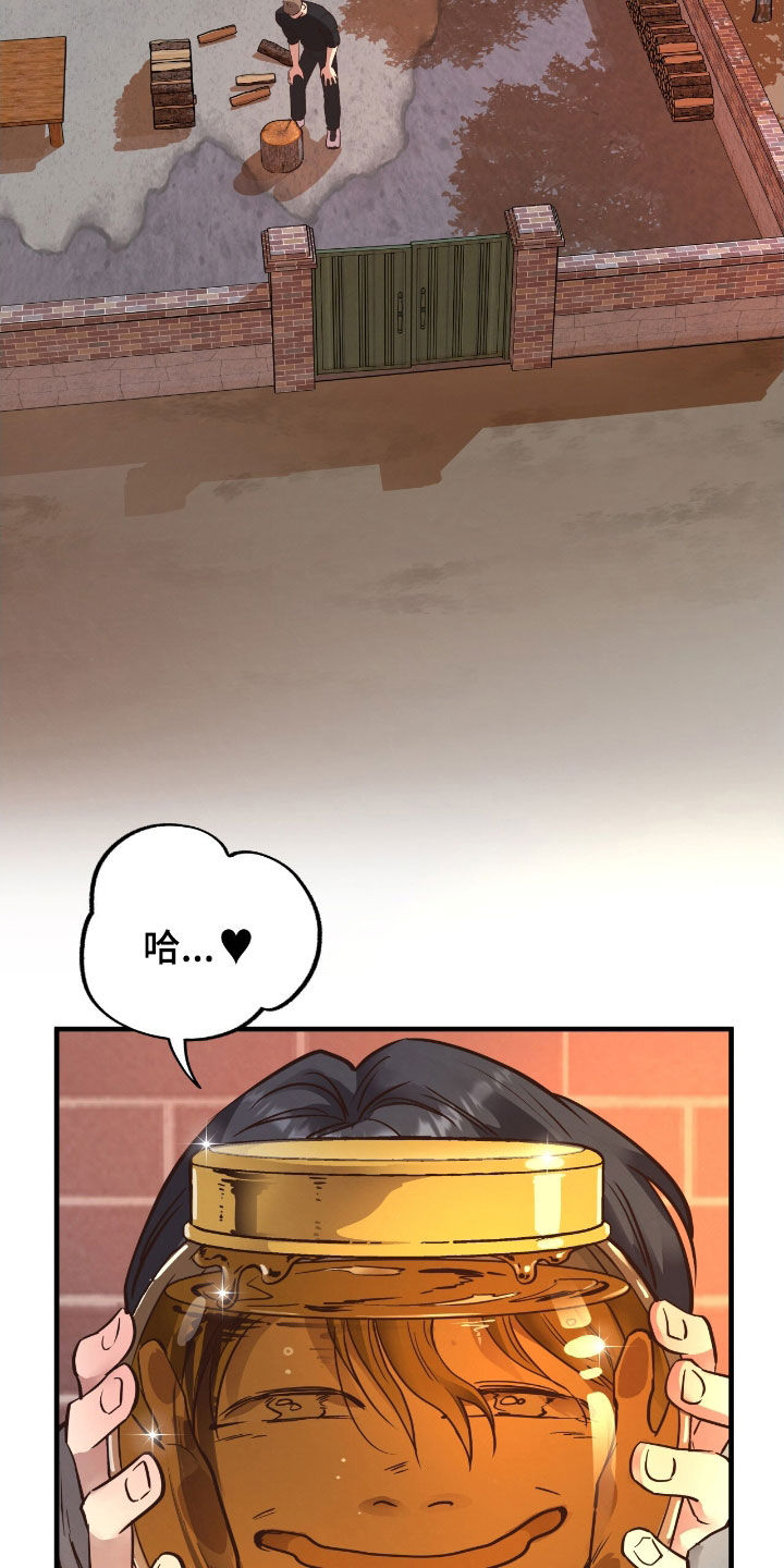 19.jpg