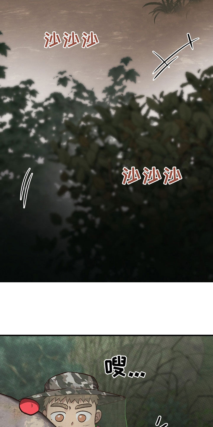 13.jpg