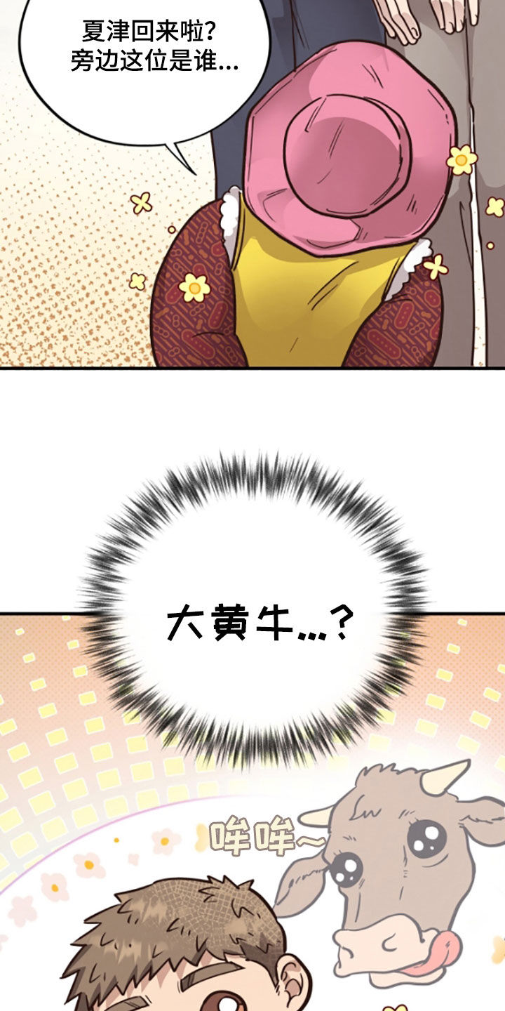 31.jpg