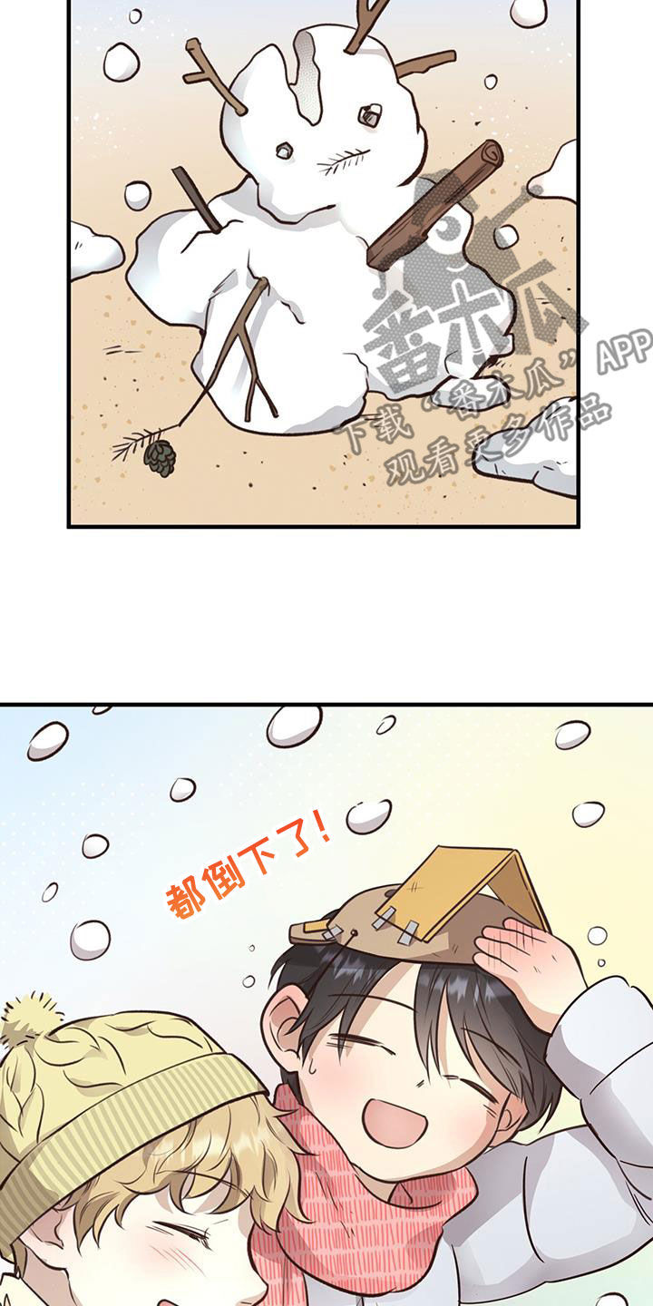 16.jpg
