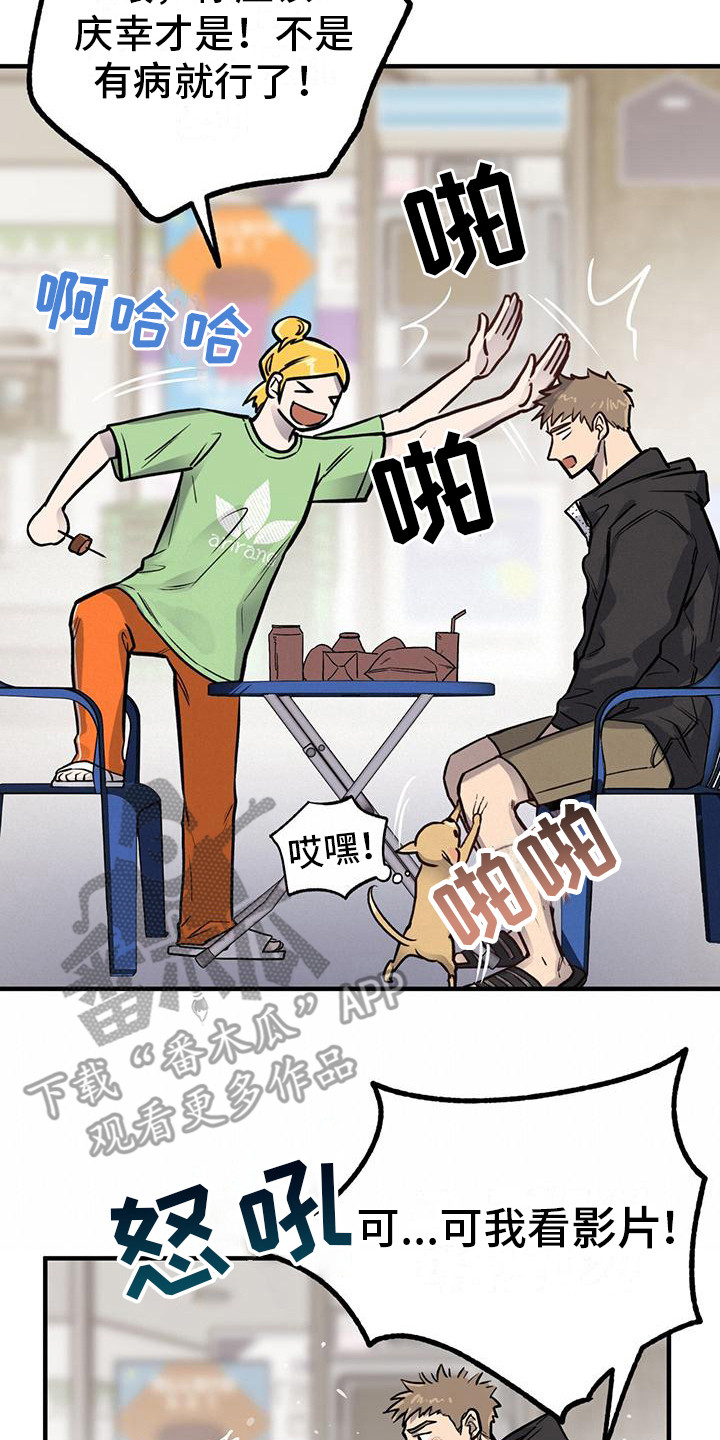 13.jpg