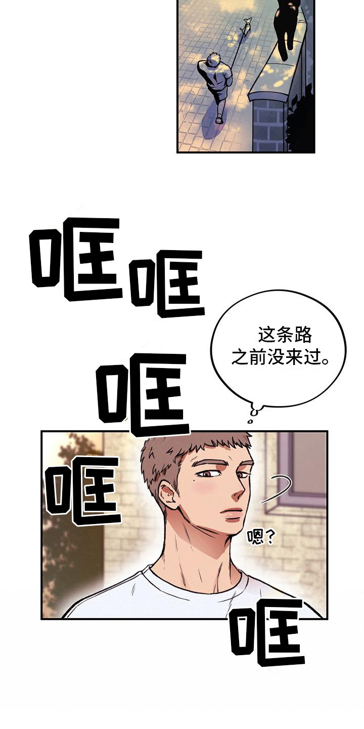 15.jpg
