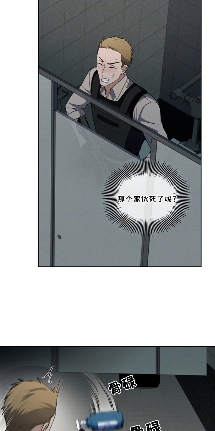 16.jpg