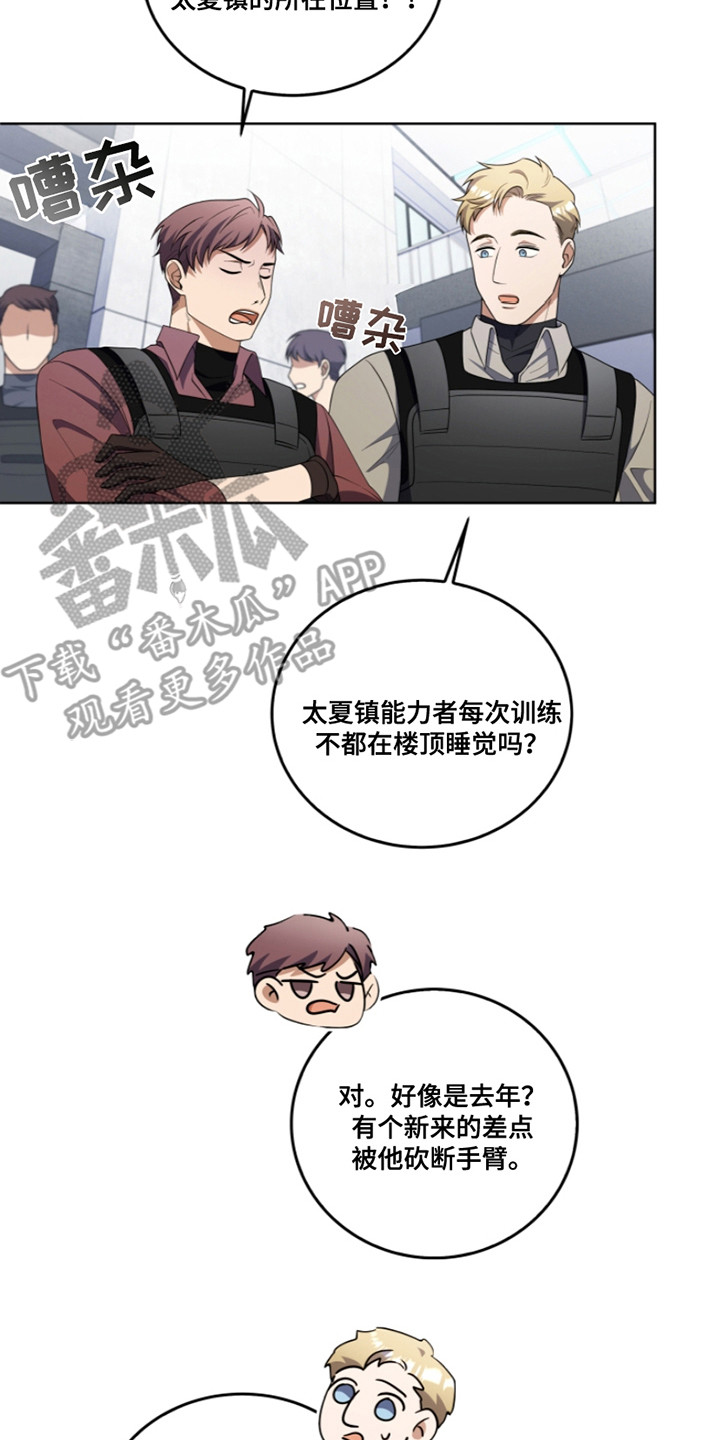 17.jpg