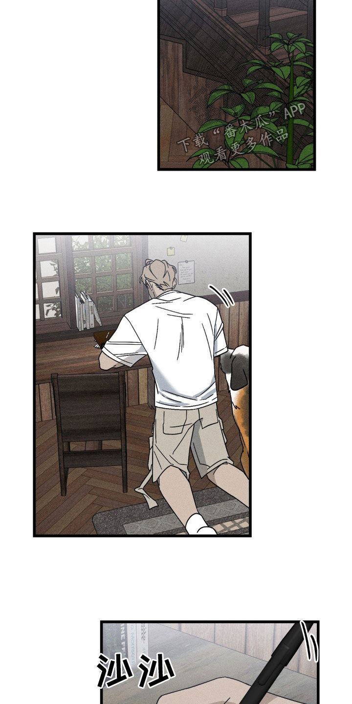 29.jpg