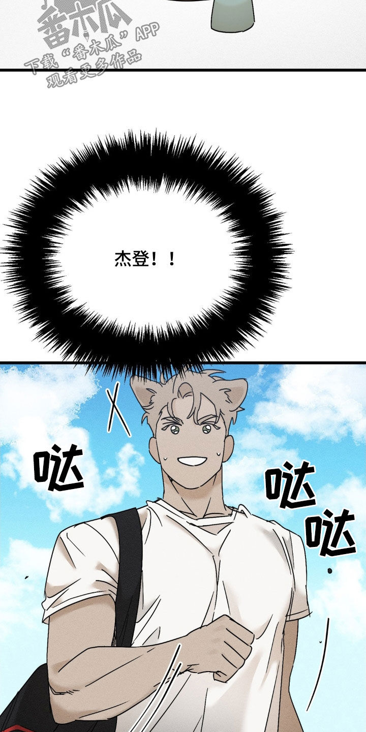 18.jpg