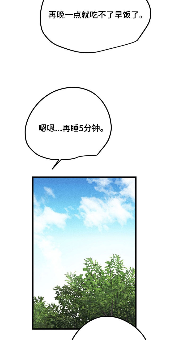 31.jpg