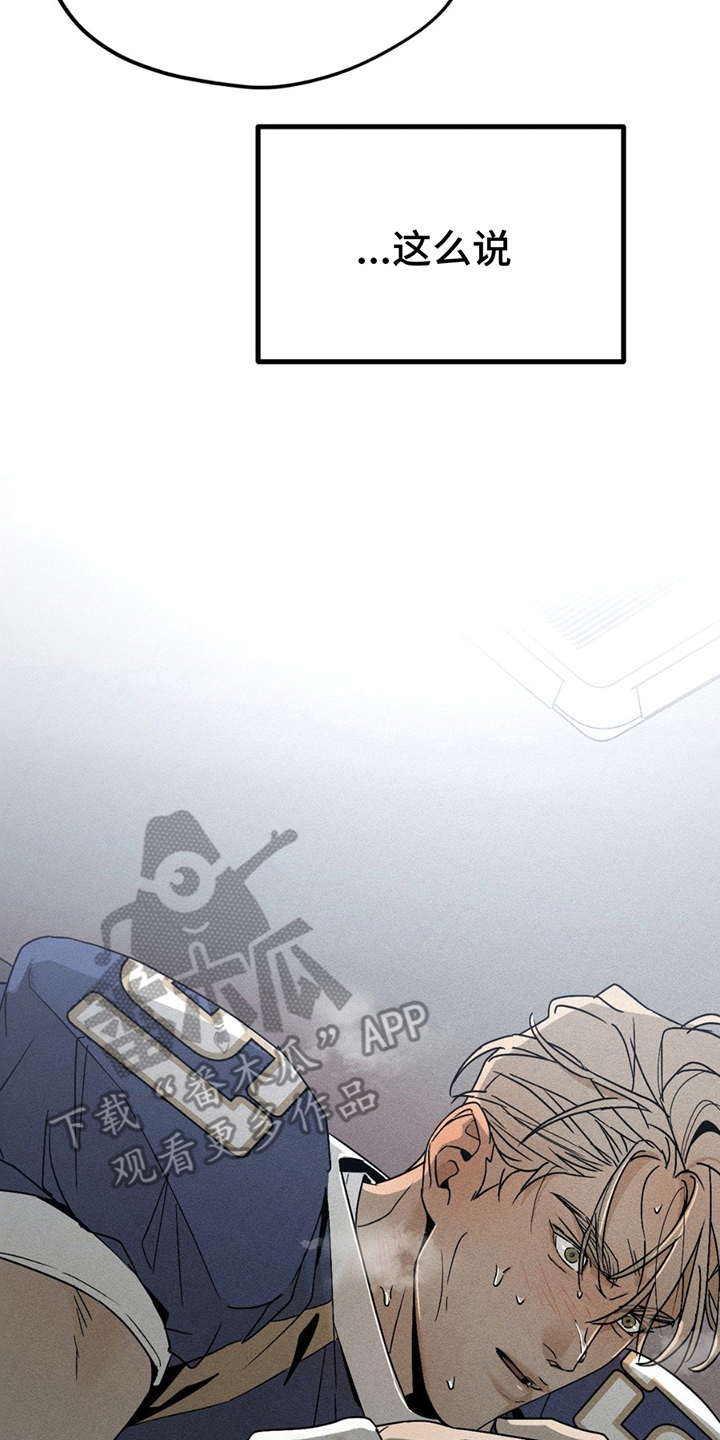 16.jpg
