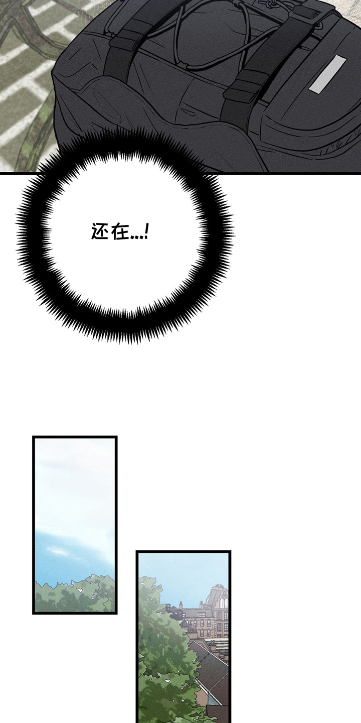 11.jpg