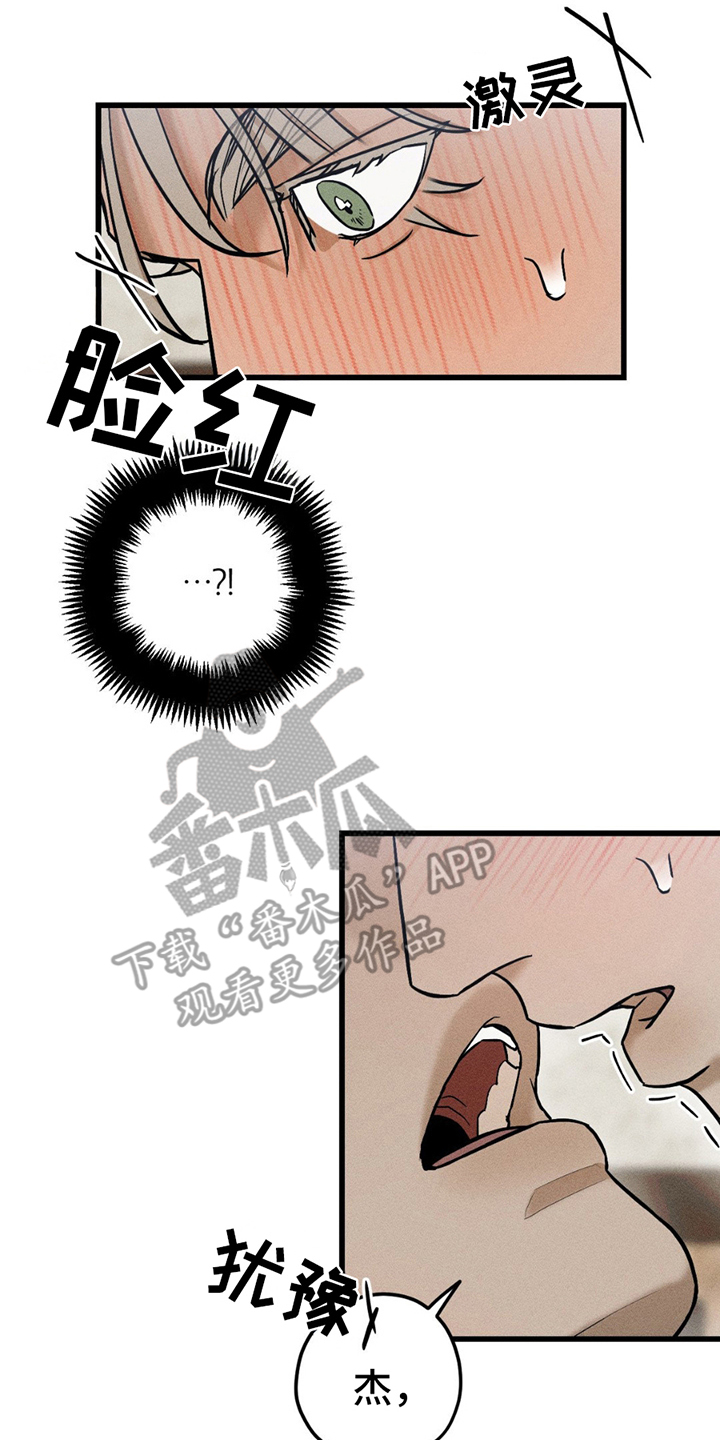 16.jpg