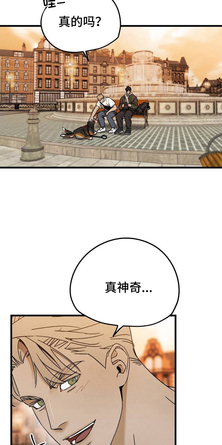 17.jpg