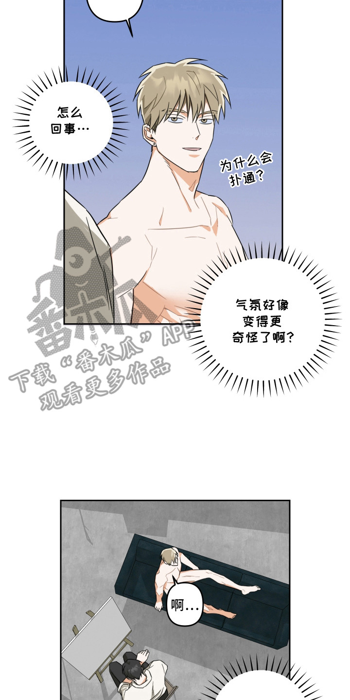 20.jpg