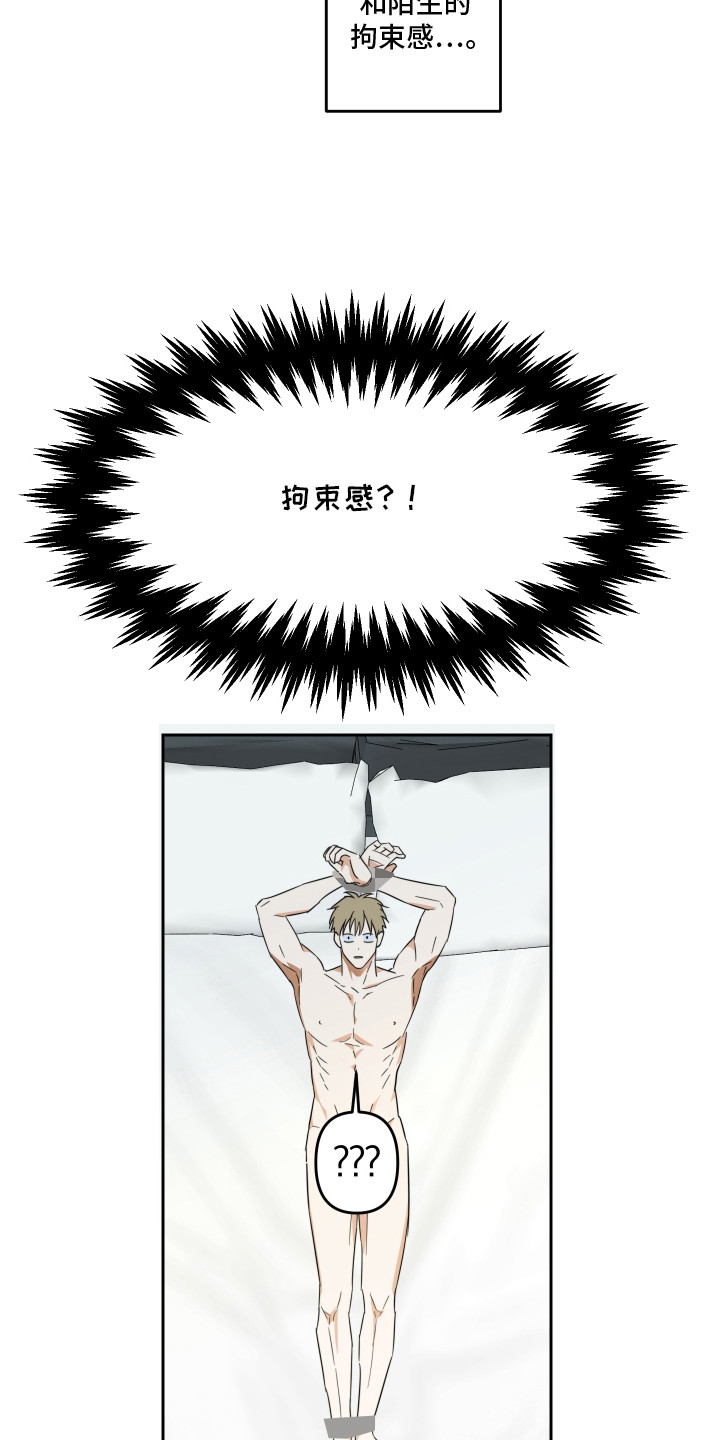26.jpg