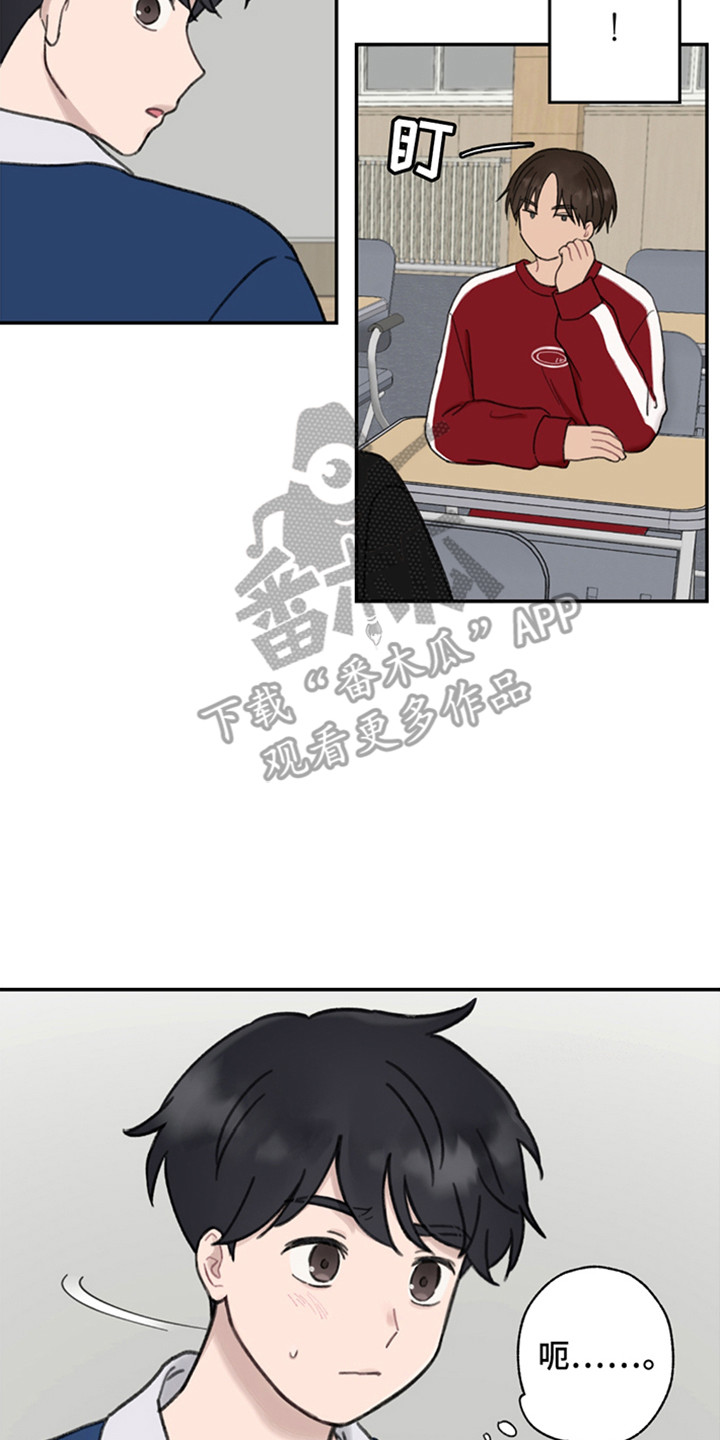 17.jpg