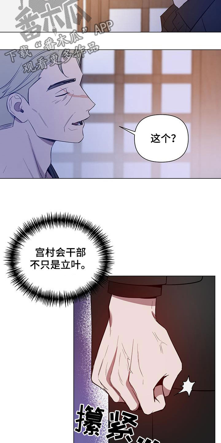 17.jpg
