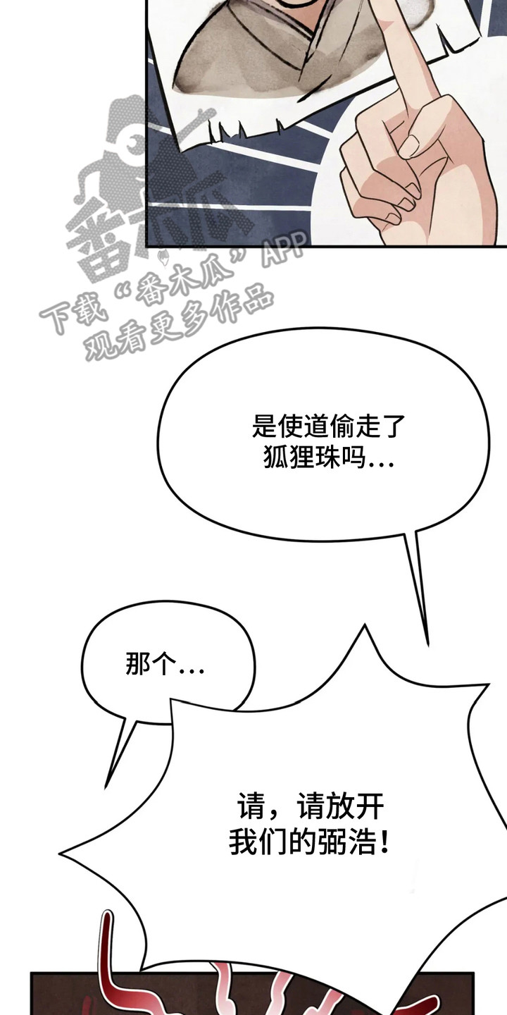 17.jpg