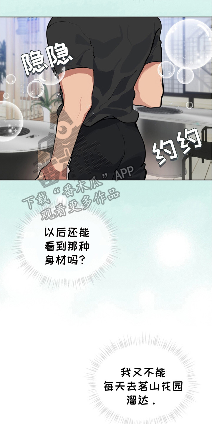 17.jpg