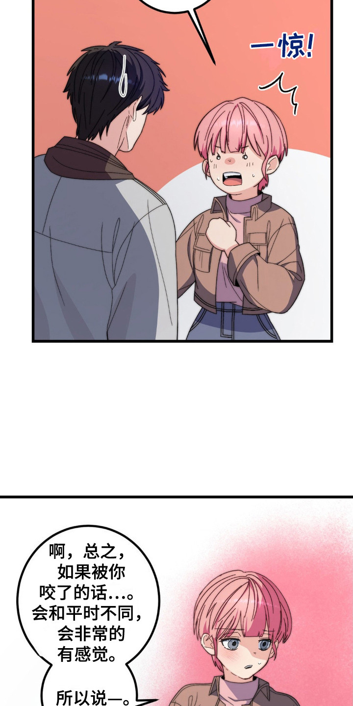 15.jpg