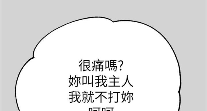 113.jpg