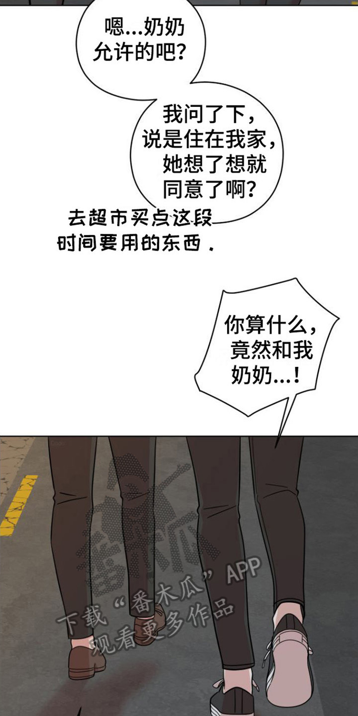 15.jpg