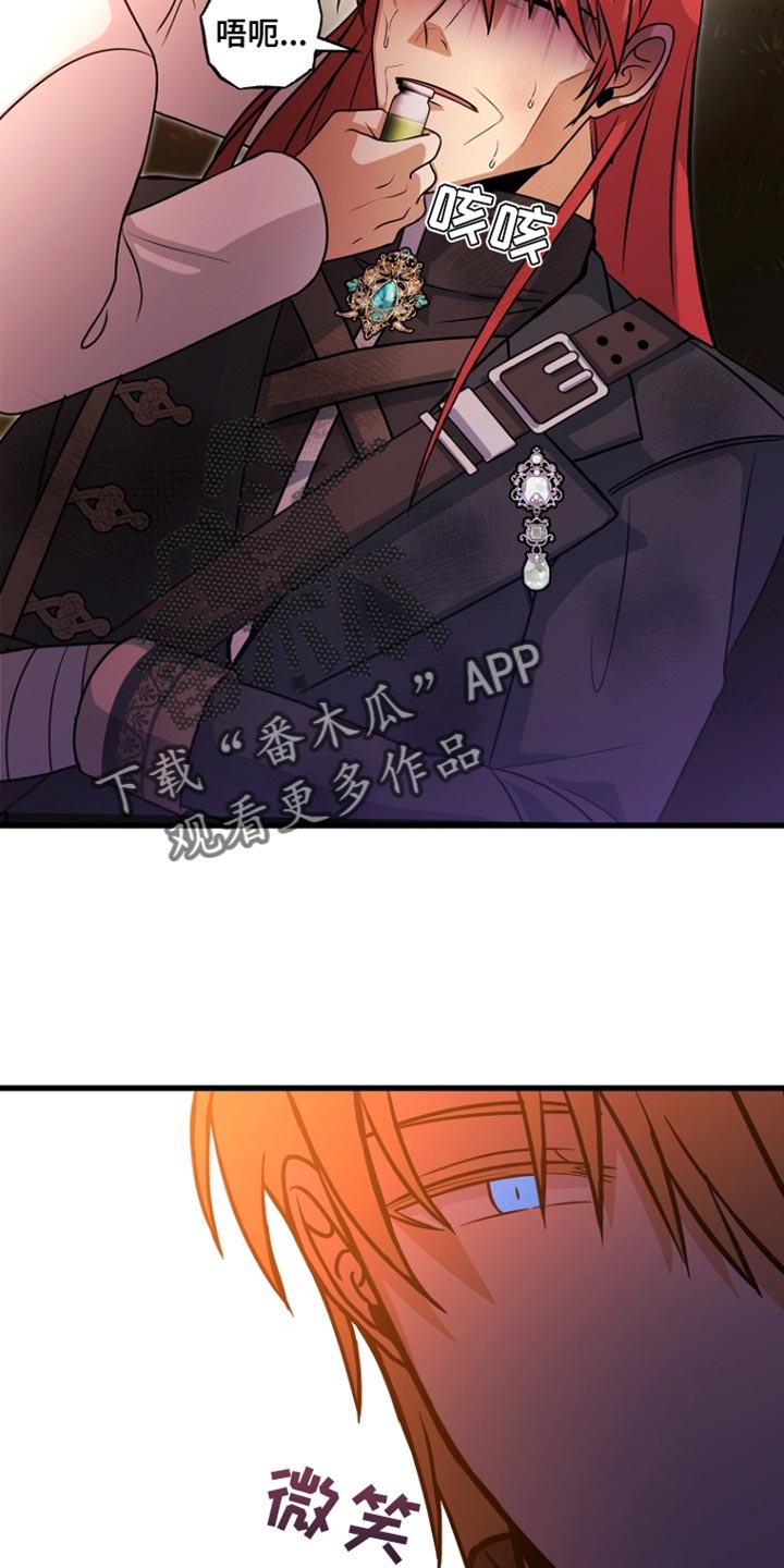 21.jpg
